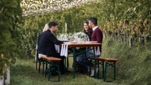 Vier Personen speisen an einem langen Tisch von Casaria Bierzeltgarnituren im Freien in einem Weinberg, umgeben von grünen Weinreben und beleuchtet von Lichterketten an der Decke, und genießen eine der drei gemütlichen Feiern unter den Sternen.